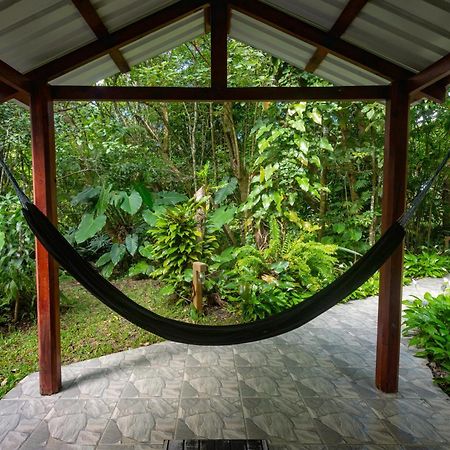 Cabanas Valle Campanas - Monteverde, Costa Rica Ngoại thất bức ảnh