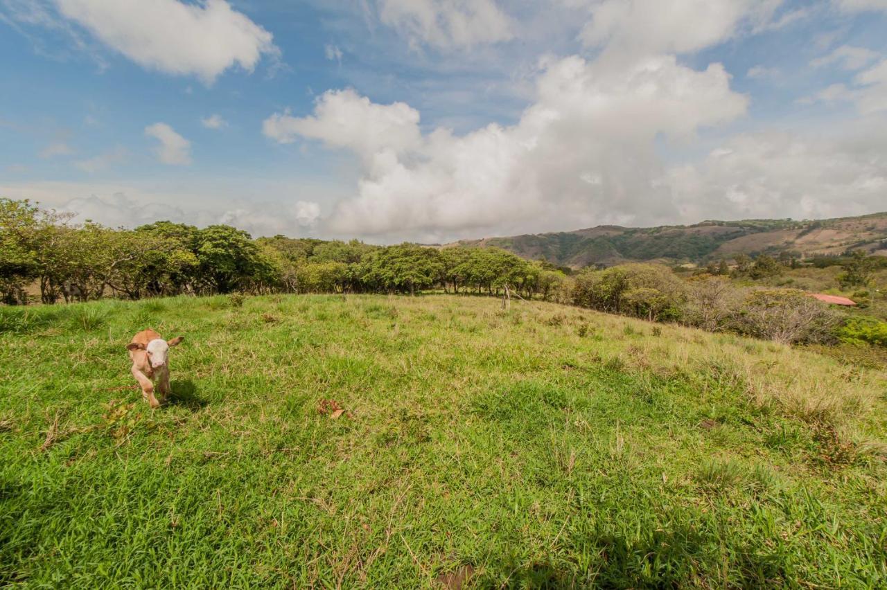 Cabanas Valle Campanas - Monteverde, Costa Rica Ngoại thất bức ảnh