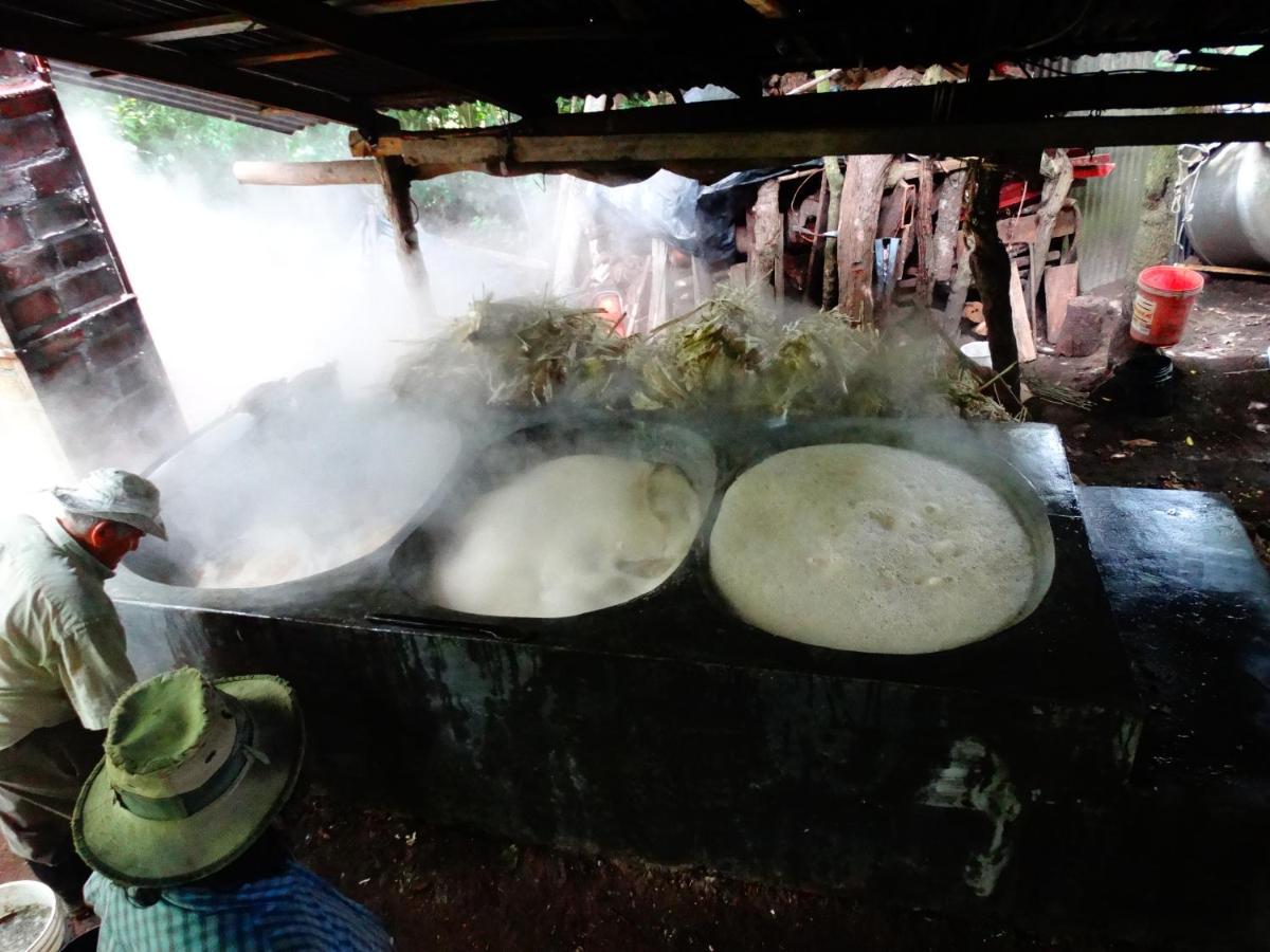 Cabanas Valle Campanas - Monteverde, Costa Rica Ngoại thất bức ảnh