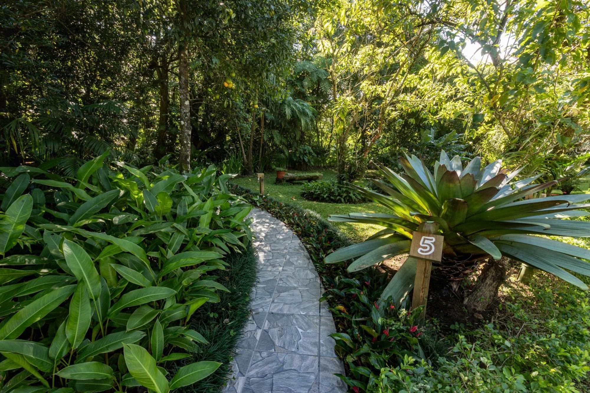 Cabanas Valle Campanas - Monteverde, Costa Rica Ngoại thất bức ảnh